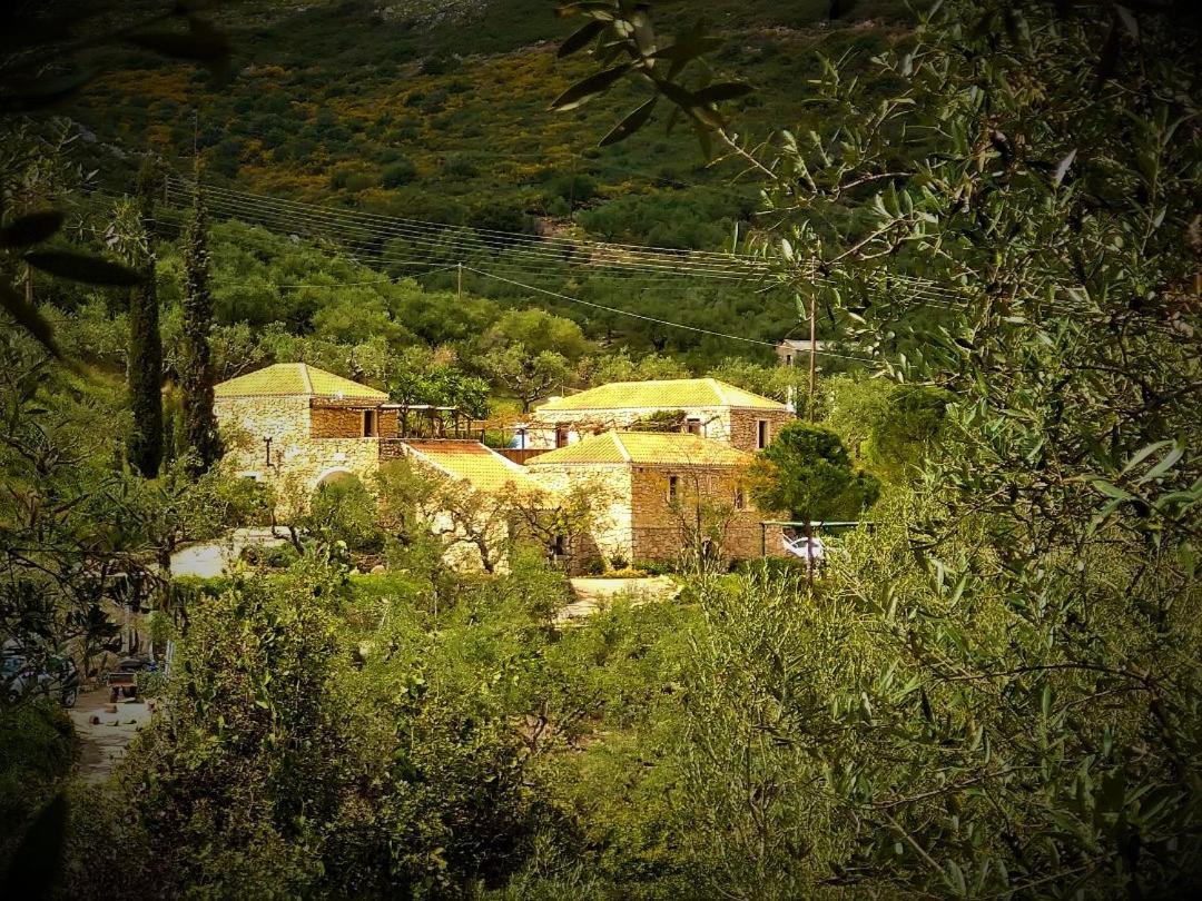 Tsivouli Accommodation Литакия Экстерьер фото