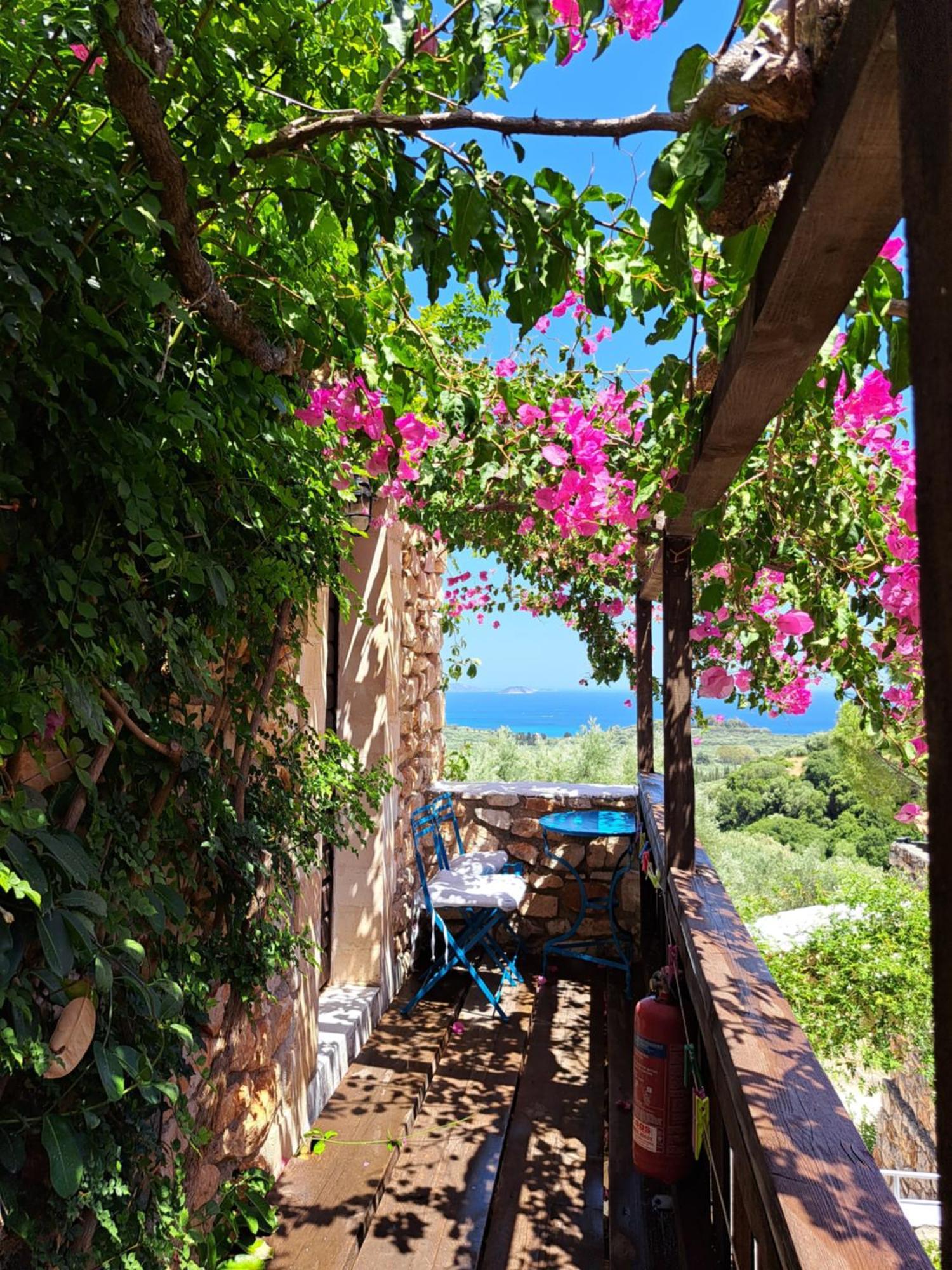Tsivouli Accommodation Литакия Экстерьер фото
