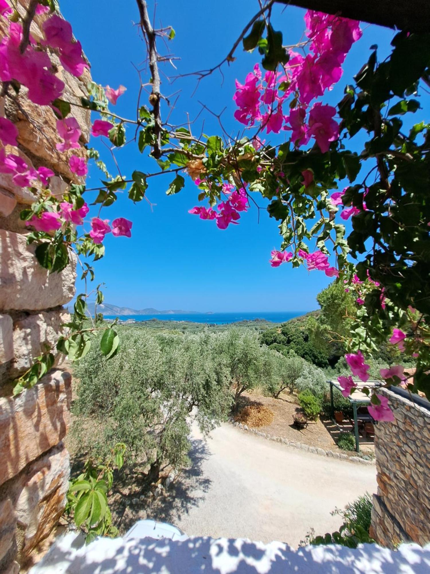 Tsivouli Accommodation Литакия Экстерьер фото
